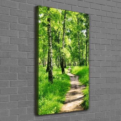 Large canvas wall art Birch forest