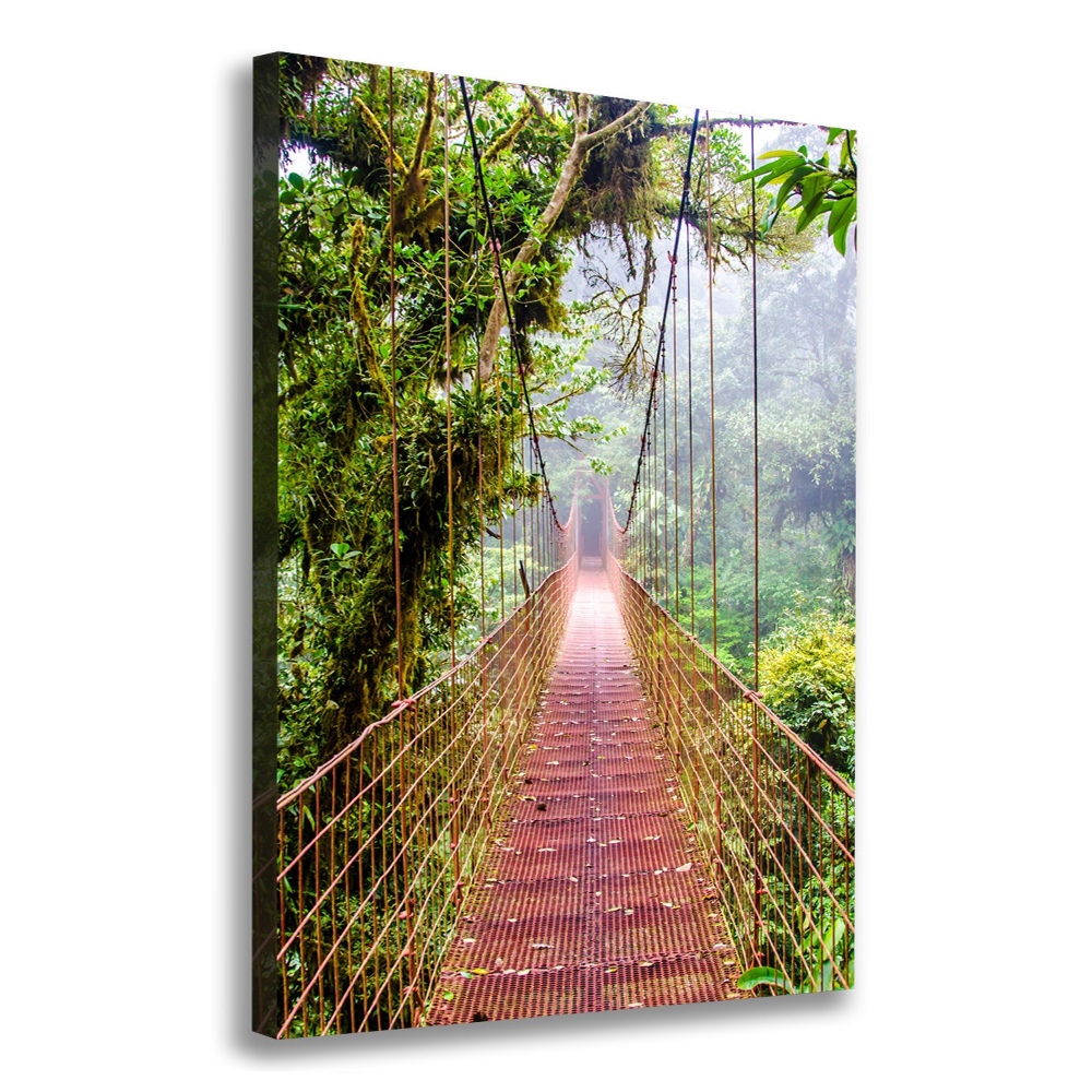 Large canvas wall art Hanging bridge