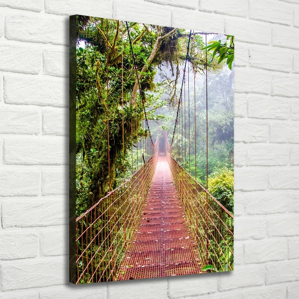 Large canvas wall art Hanging bridge