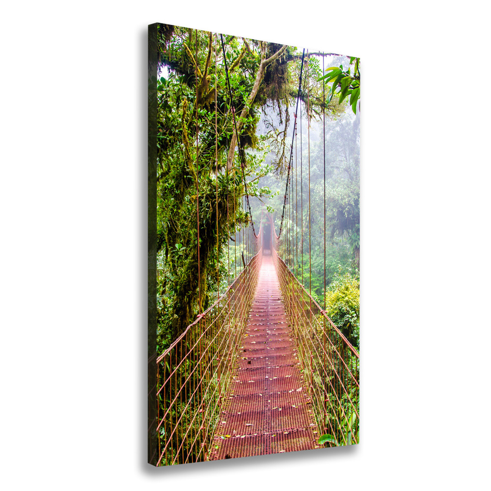 Large canvas wall art Hanging bridge