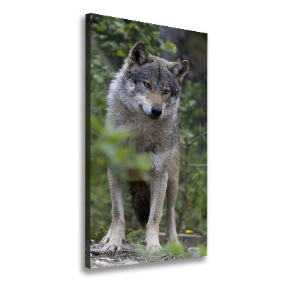 Canvas print Wolf in the forest