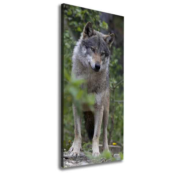 Canvas print Wolf in the forest