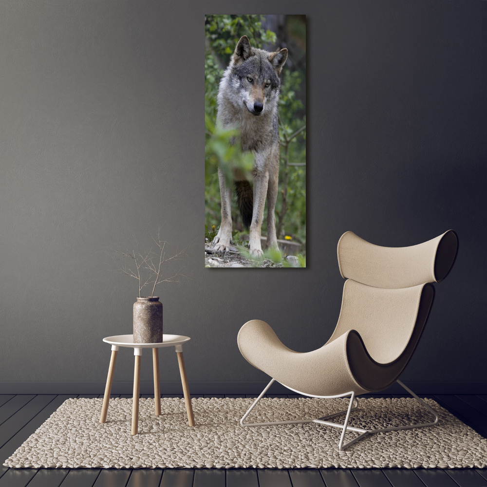 Canvas print Wolf in the forest