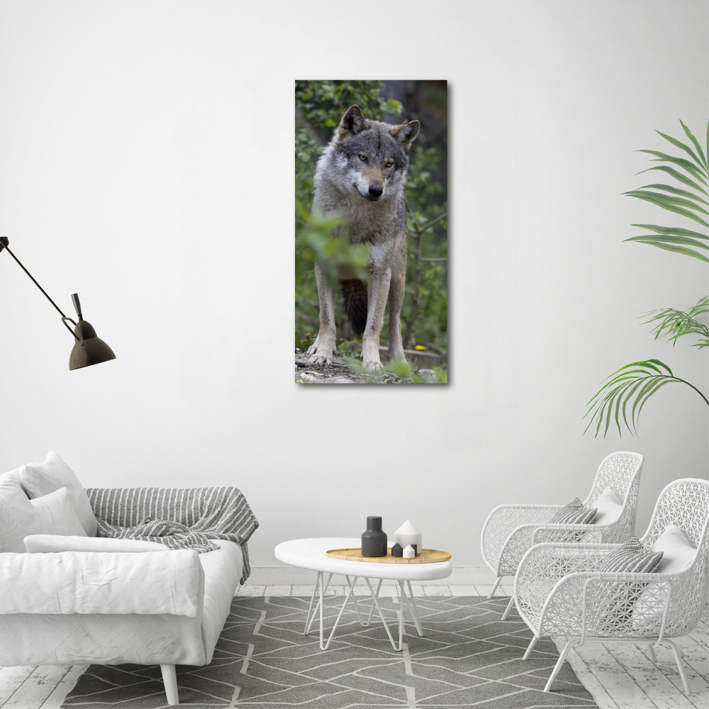 Canvas print Wolf in the forest