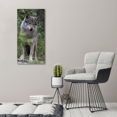 Canvas print Wolf in the forest