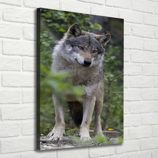 Canvas print Wolf in the forest