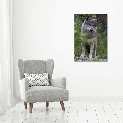 Canvas print Wolf in the forest