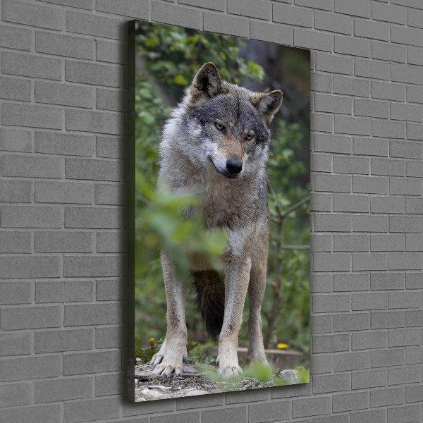 Canvas print Wolf in the forest