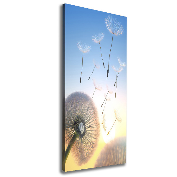 Canvas wall art Dandelion