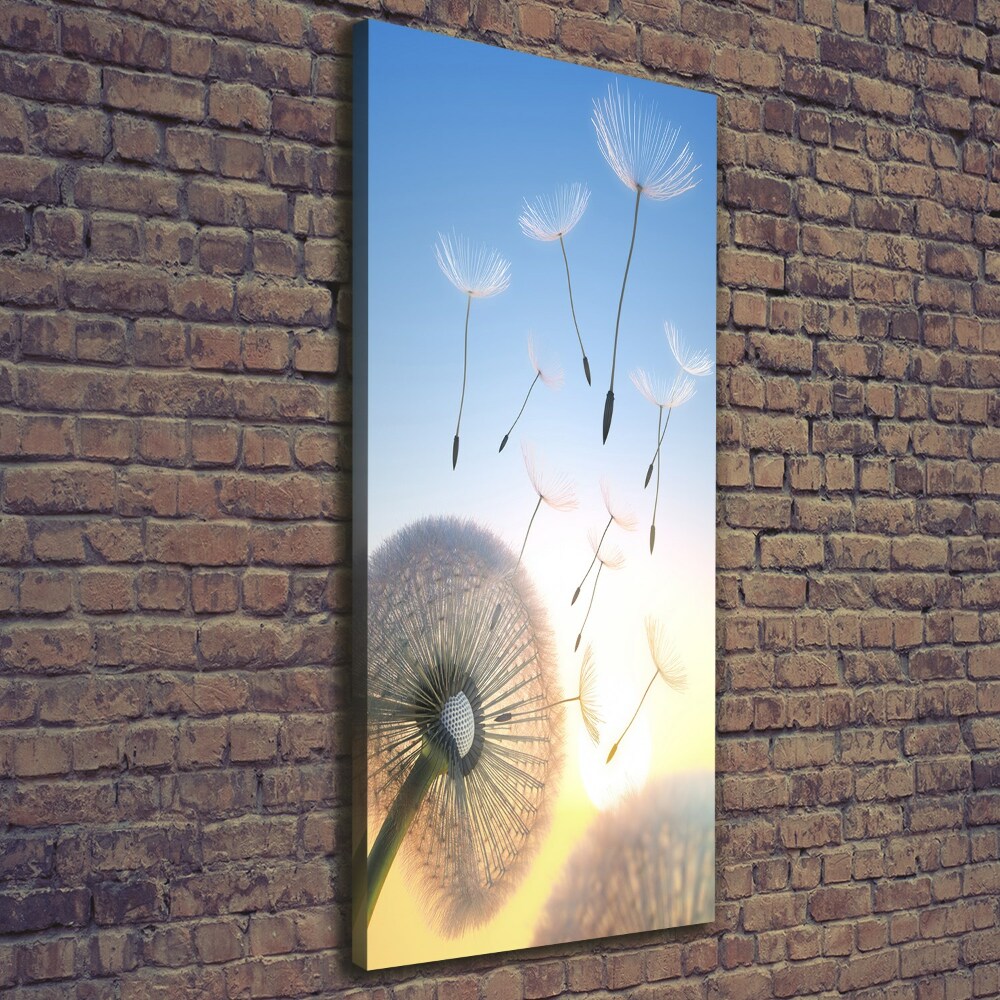 Canvas wall art Dandelion