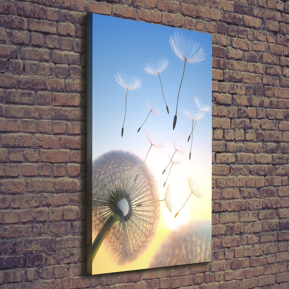 Canvas wall art Dandelion