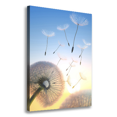 Canvas wall art Dandelion