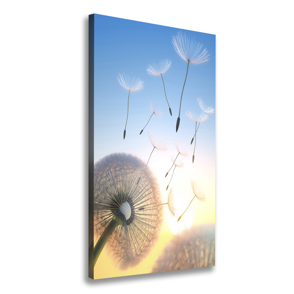 Canvas wall art Dandelion