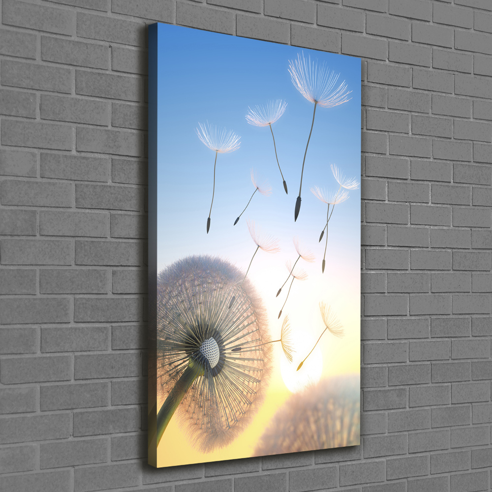 Canvas wall art Dandelion