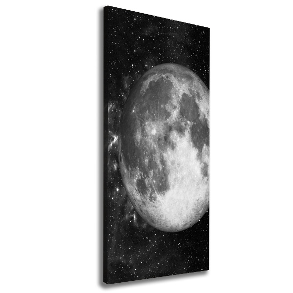 Canvas print Moon