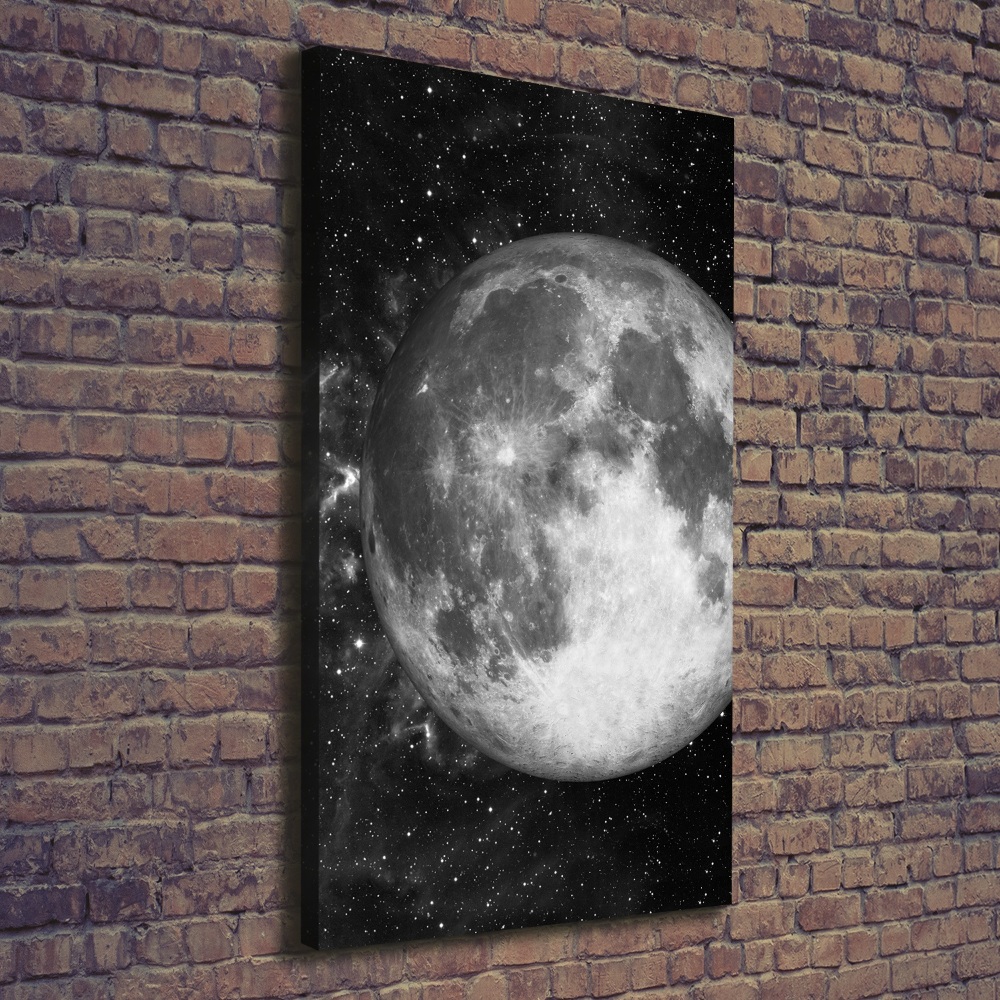 Canvas print Moon