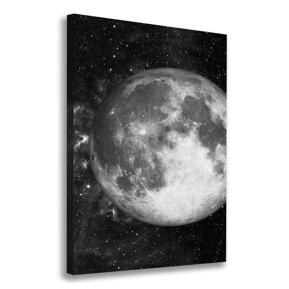 Canvas print Moon