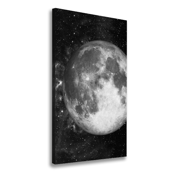 Canvas print Moon