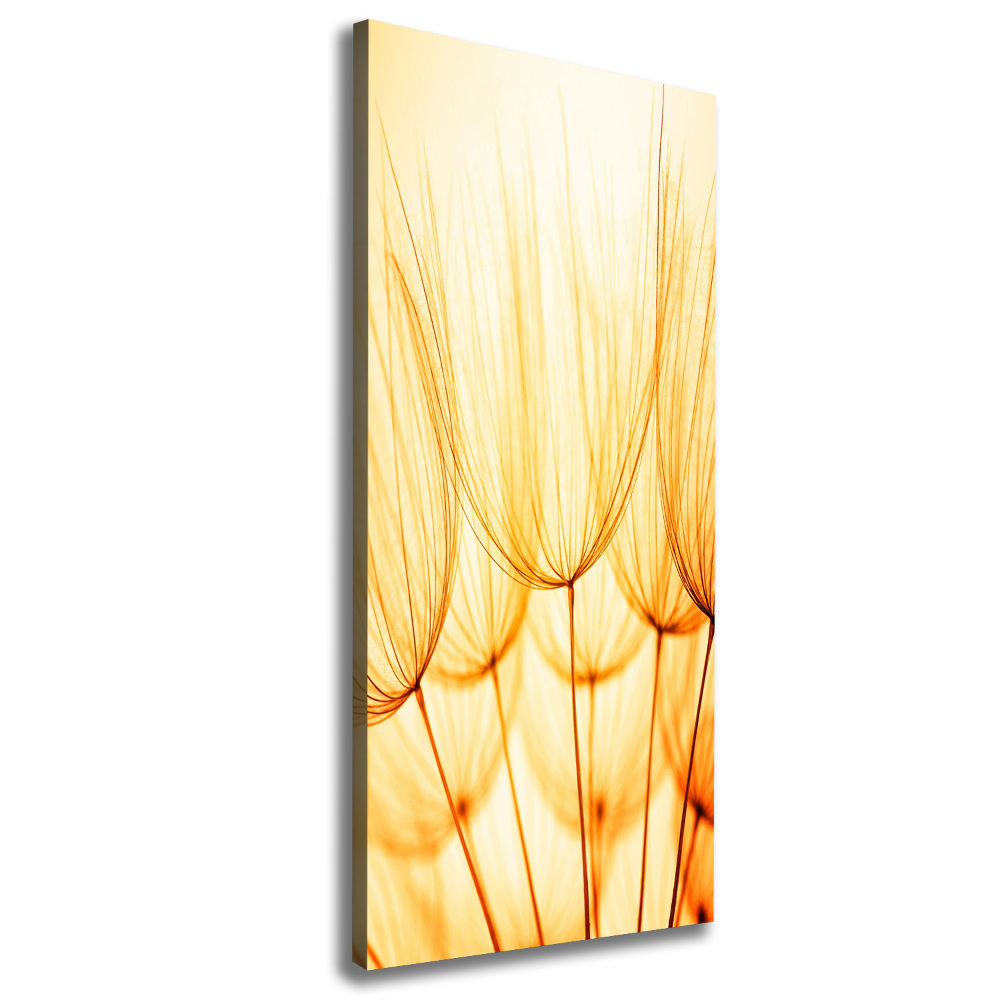 Large canvas wall art Dandelion seeds