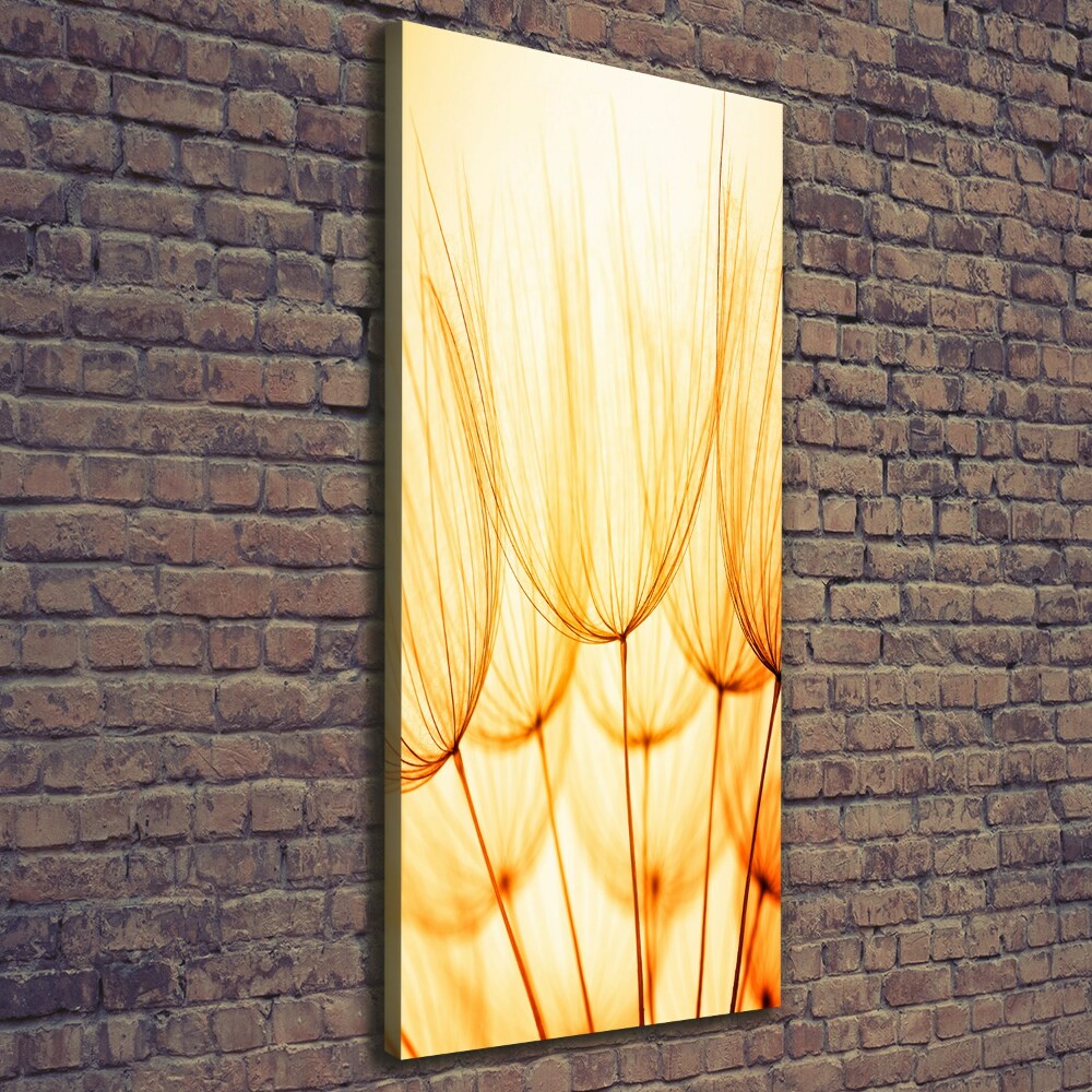 Large canvas wall art Dandelion seeds