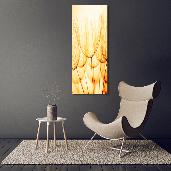 Large canvas wall art Dandelion seeds