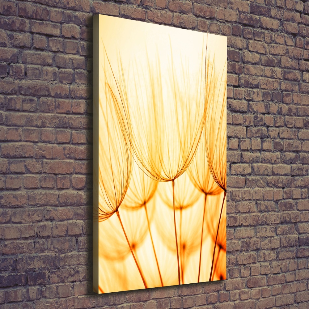 Large canvas wall art Dandelion seeds