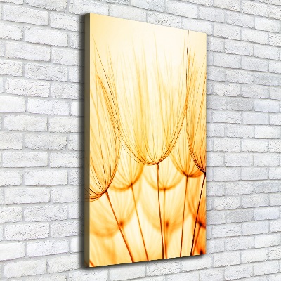 Large canvas wall art Dandelion seeds