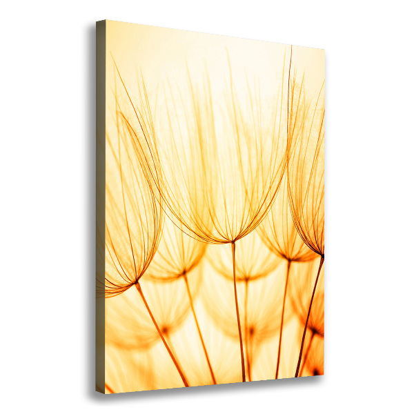 Large canvas wall art Dandelion seeds