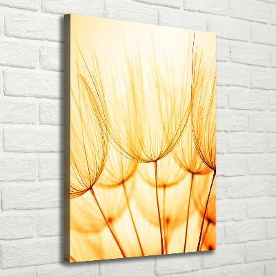 Large canvas wall art Dandelion seeds