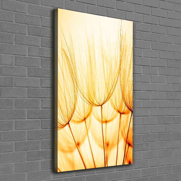 Large canvas wall art Dandelion seeds