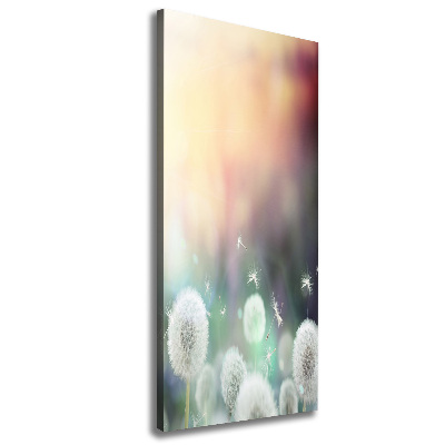 Large canvas wall art dandelions