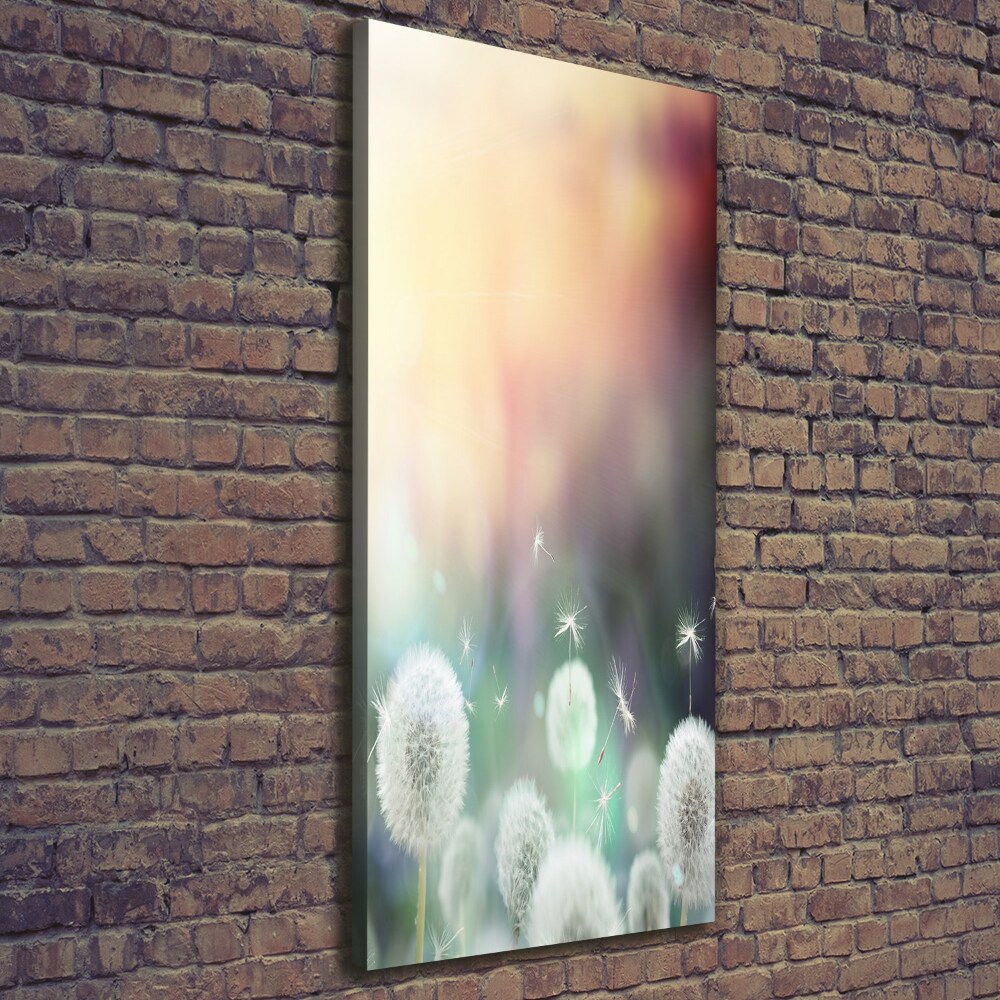 Large canvas wall art dandelions