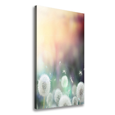 Large canvas wall art dandelions