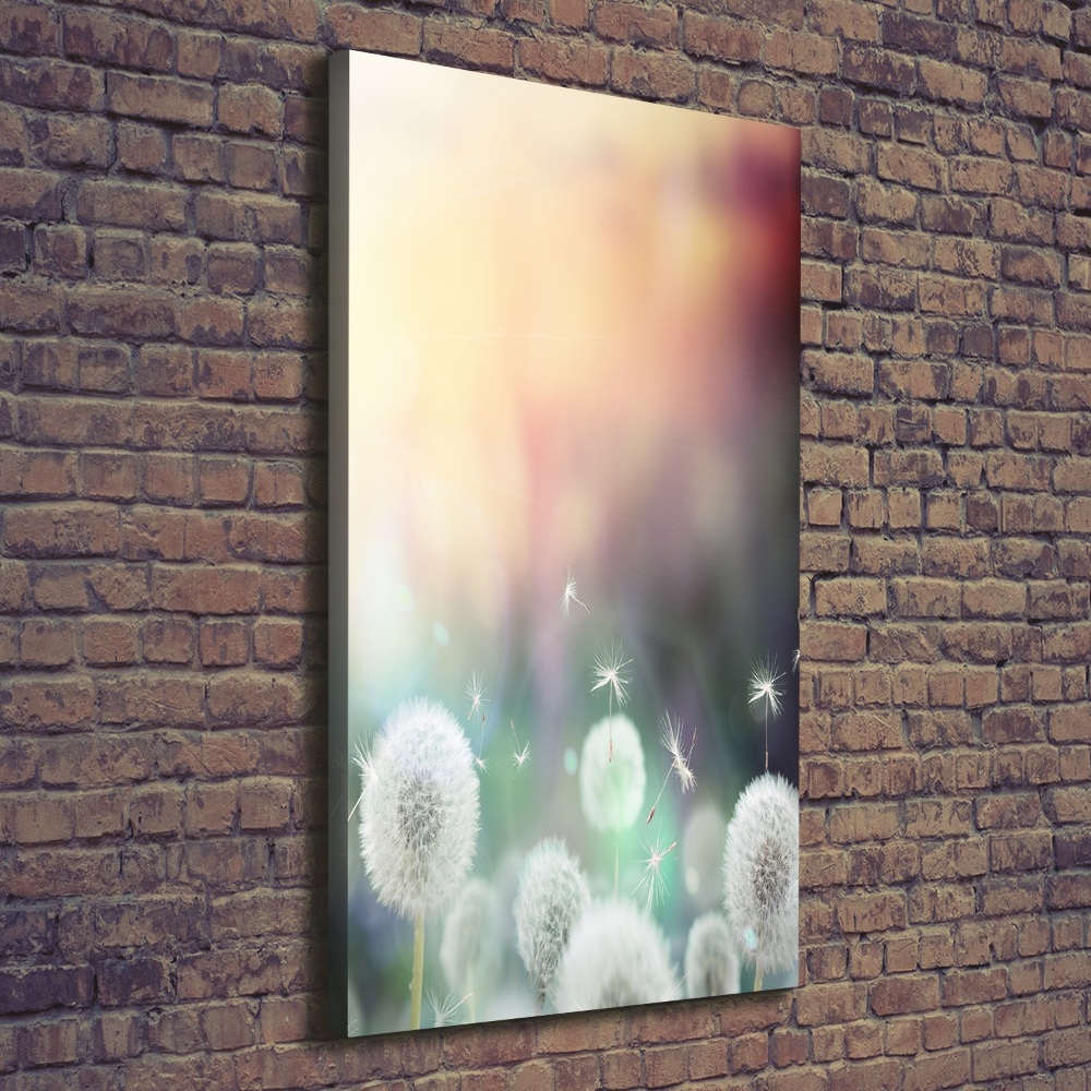 Large canvas wall art dandelions