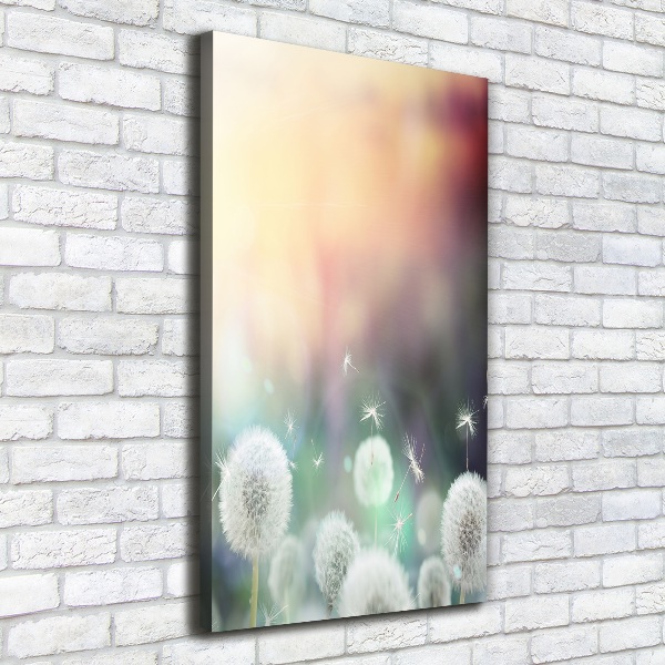 Large canvas wall art dandelions