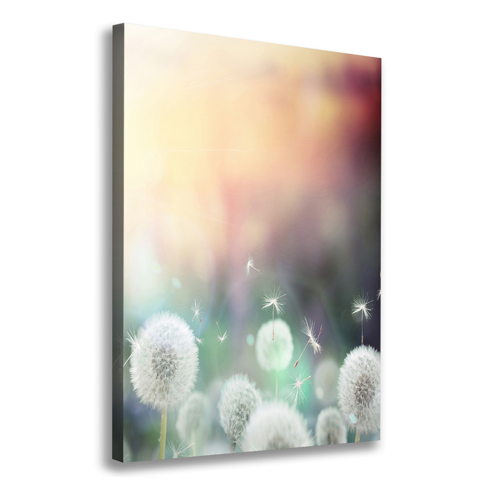 Large canvas wall art dandelions