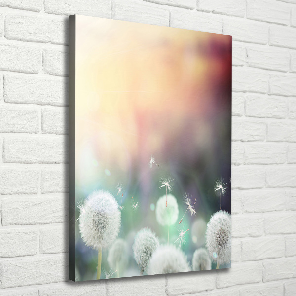 Large canvas wall art dandelions