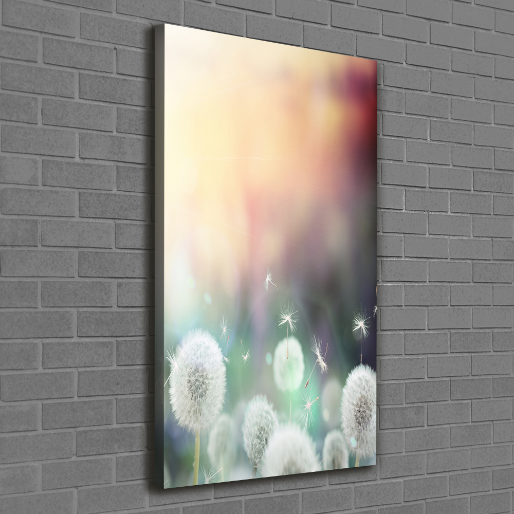 Large canvas wall art dandelions