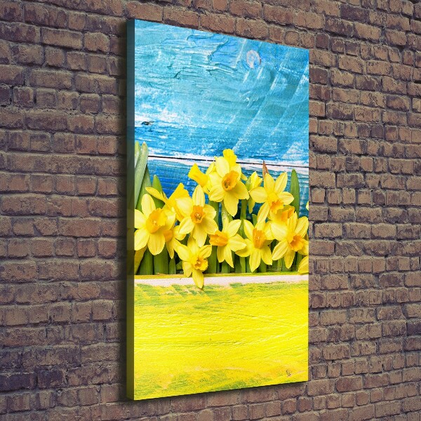 Wall art canvas large Daffodil