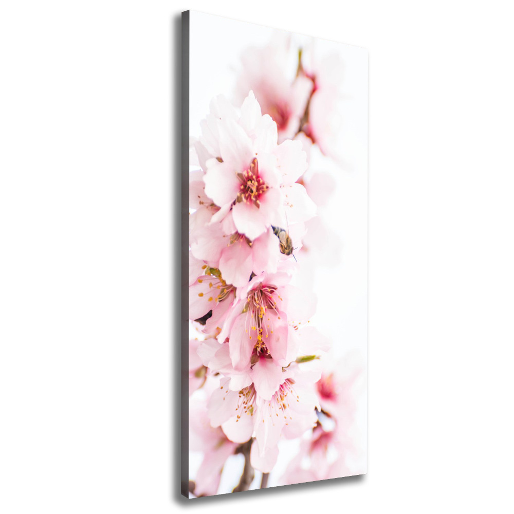 Canvas wall art Tonsil flowers