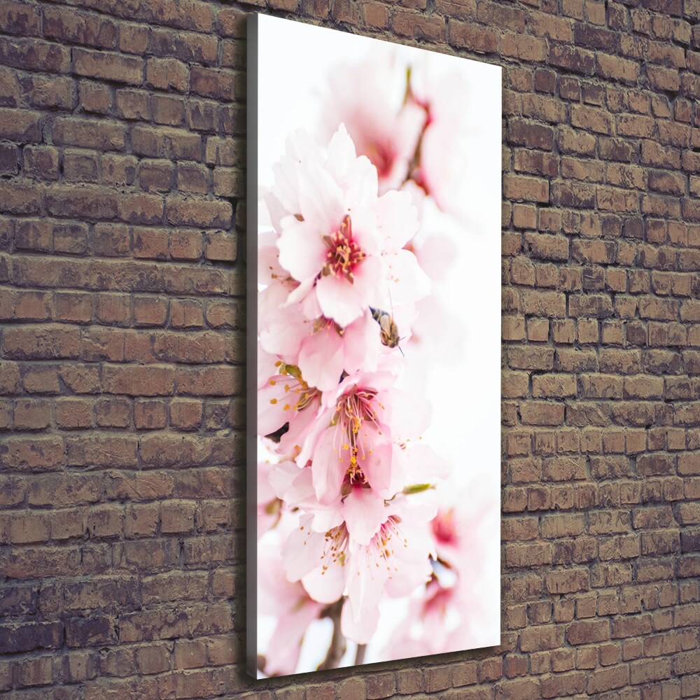 Canvas wall art Tonsil flowers