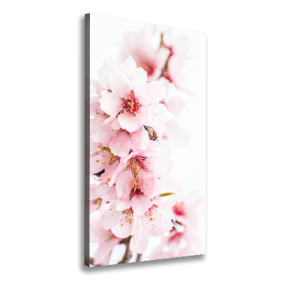 Canvas wall art Tonsil flowers