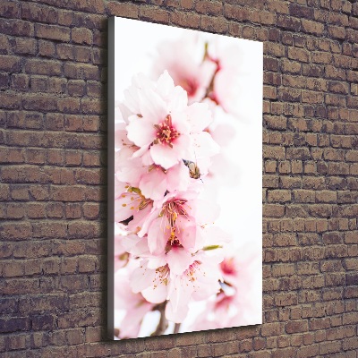 Canvas wall art Tonsil flowers