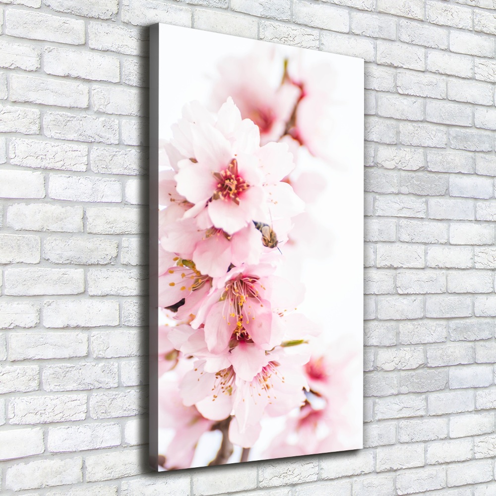 Canvas wall art Tonsil flowers