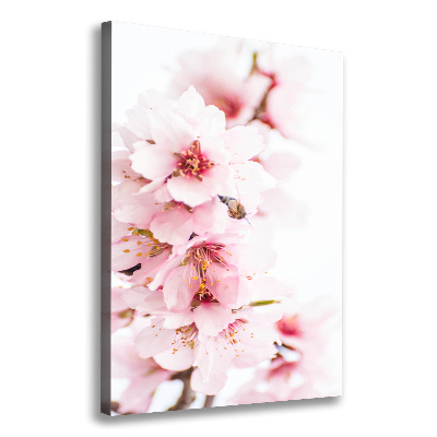 Canvas wall art Tonsil flowers