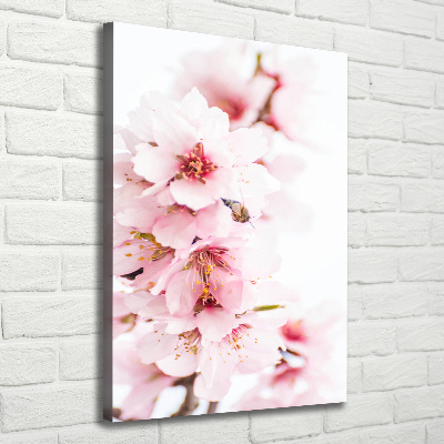 Canvas wall art Tonsil flowers