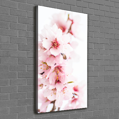 Canvas wall art Tonsil flowers