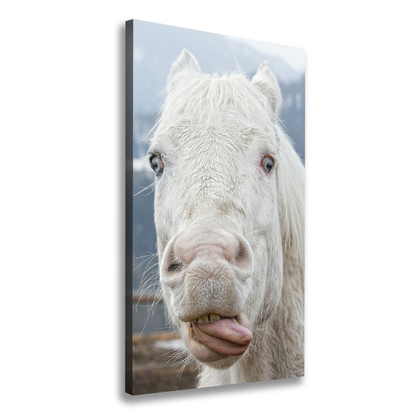 Wall art canvas large Crazy white horse