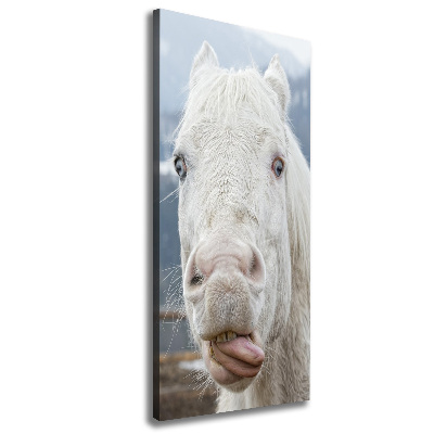 Wall art canvas large Crazy white horse