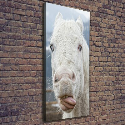 Wall art canvas large Crazy white horse